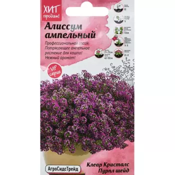 Семена цветов Агросидстрейд алиссум Клеар Кристалс Пурпл Шейд