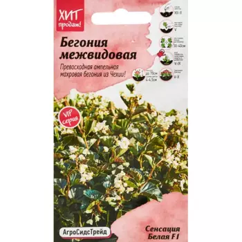 Семена цветов Агросидстрейд бегония межвидовая Сенсация F1 белый 5 шт.