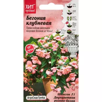 Семена цветов Агросидстрейд бегония Шансон Двухцветная F1 розово-белый
