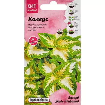 Семена цветов Агросидстрейд колеус Визард Йеде Нефрит