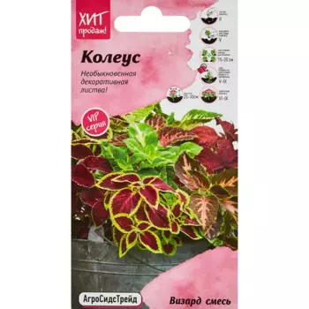 Семена цветов Агросидстрейд колеус Визард микс 10 шт.