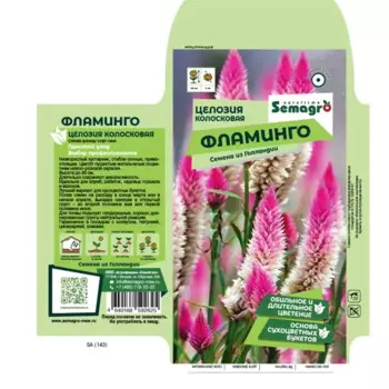 Семена цветов целозия колосковая Фламинго