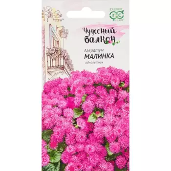 Семена цветов Гавриш агератум Малинка Чудесный балкон серый