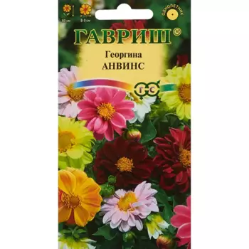 Семена цветов Гавриш георгина Анвинс смесь окрасок