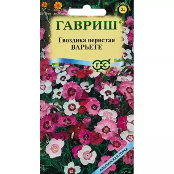 Семена цветов Гавриш гвоздика Перистая варьете микс