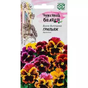 Семена цветов Гавриш виола Грильяж