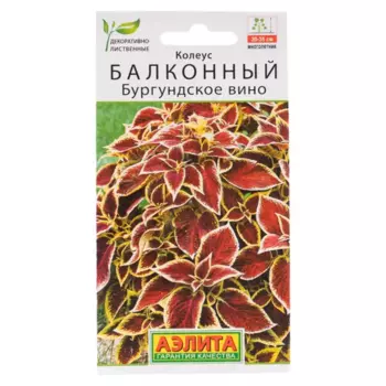 Семена цветов колеус балконный Бургундское вино