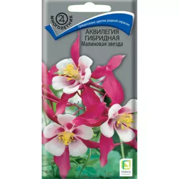 Семена цветов Поиск аквилегия гибридная Малиновая звезда