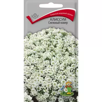 Семена цветов Поиск алиссум Снежный ковер
