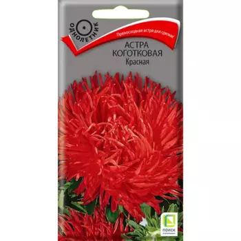 Семена цветов Поиск астра коготковая красная