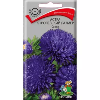 Семена цветов Поиск астра Королевский размер синий