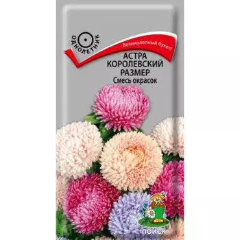 Семена цветов Поиск астра Королевский размер смесь окрасок