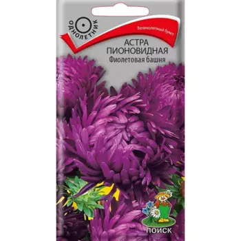 Семена цветов Поиск астра пионовидная Фиолетовая башня