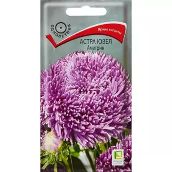Семена цветов Поиск астра ювел Аметрин
