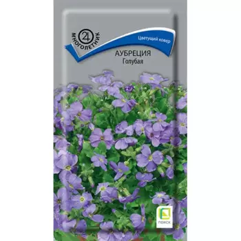 Семена цветов Поиск аубреция голубая