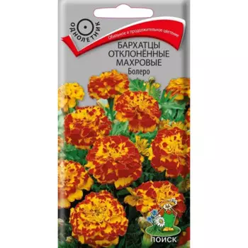 Семена цветов Поиск бархатцы отклоненные махровые Болеро