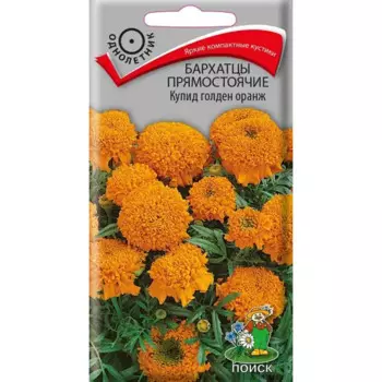 Семена цветов Поиск бархатцы прямостоячие Купид голден оранжевый