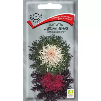 Семена цветов Поиск капуста декоративная Павлиний хвост 7 шт.
