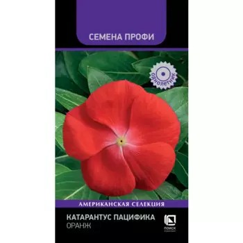 Семена цветов Поиск катарантус Пацифика Оранж 10 шт.