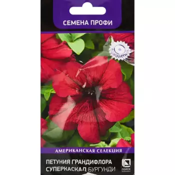 Семена цветов Поиск петуния грандифлора Суперкаскад Бургунди 10 шт.
