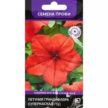 Семена цветов Поиск петуния грандифлора Суперкаскад Ред 10 шт.