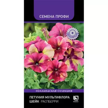 Семена цветов Поиск петуния мультифлора Шейк Распберри