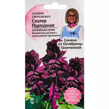 Семена цветов Семена от Октябрины Ганичкиной сальвия Сизлер пурпурный