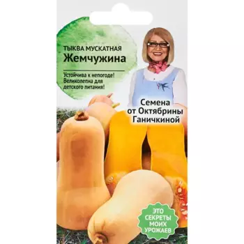 Семена фруктов Семена от Октябрины Ганичкиной тыква мускатная Жемчужина
