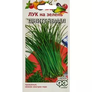 Семена Гавриш лук Шнитт Чемал