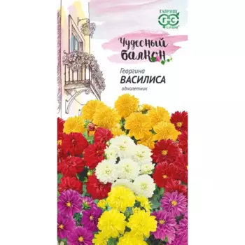 Семена Георгина Василиса