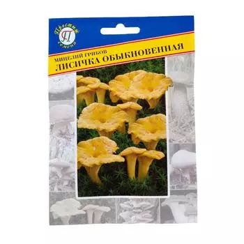 Семена Гриб лисичка обыкновенная