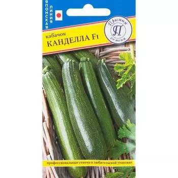 Семена Кабачок «Кандела» F1