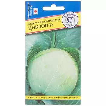 Семена Капуста белокачанная «Циклоп» F1