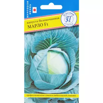 Семена Капуста белокочанная «Марло» F1