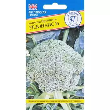 Семена Капуста брокколи «Резонанс» F1