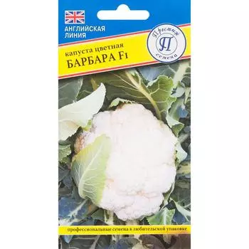 Семена Капуста цветная «Барбара» F1