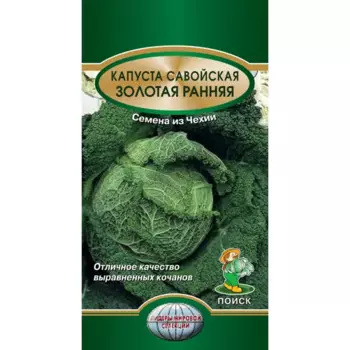 Семена Капуста савойская Золотая ранняя Поиск