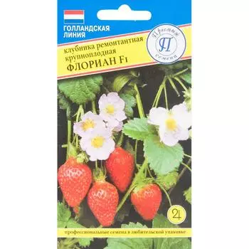 Семена Клубника ремонтантная крупная «Флориан» F1