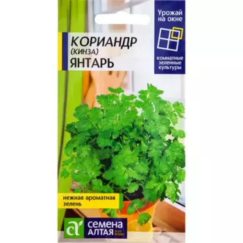 Семена Кориандр На окне «Янтарь», 2 г