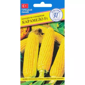 Семена Кукуруза сахарная «Карамело» F1
