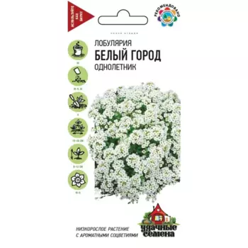 Семена Лобулярия Белый город