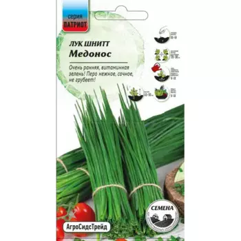 Семена лук шнитт Медонос