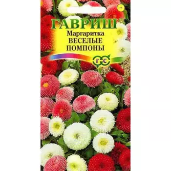 Семена Маргаритка Весёлые помпоны