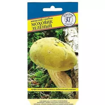 Семена Моховик зелёный