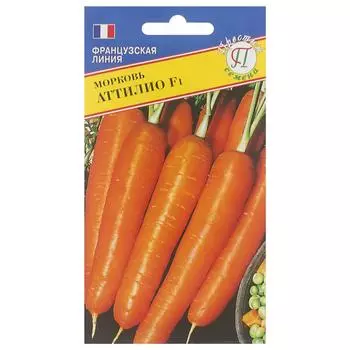 Семена Морковь «Аттилио»