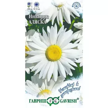 Семена Нивяник Аляска