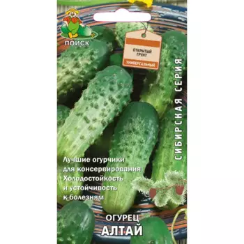 Семена Огурец Алтай Поиск