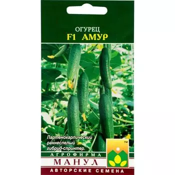 Семена Огурец «Амур» F1