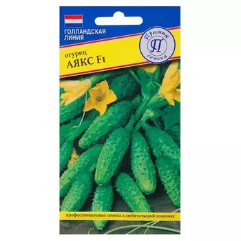 Семена Огурец Аякс F1 Престиж семена