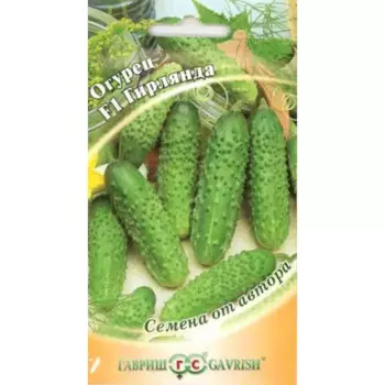 Семена Огурец Гирлянда F1
